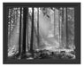 Häuschen im Wald Schattenfugenrahmen 38x30