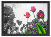 Tulpenfeld Froschperspektive Schattenfugenrahmen 55x40