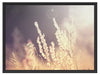 Gräser bei abendlicher Dämmerung Schattenfugenrahmen 80x60