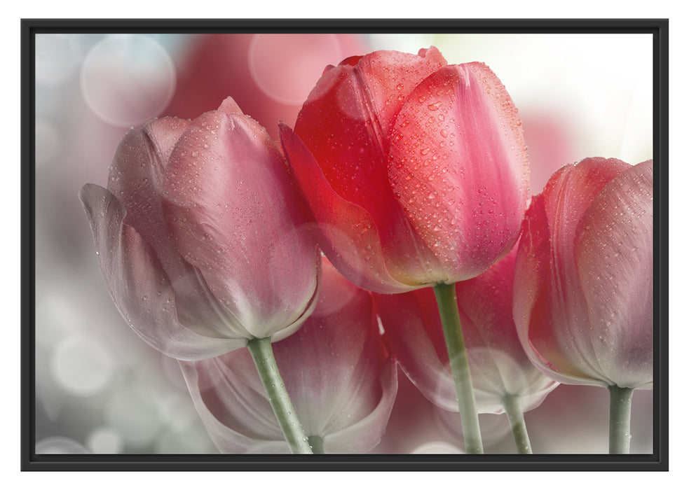 Pixxprint Wunderschöne Tulpen, im Schwebe-Effekt Bilderrahmen