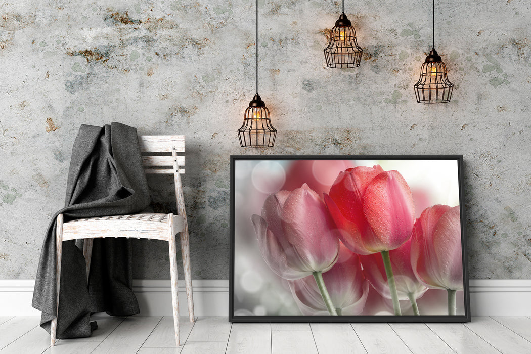 Wunderschöne Tulpen Schattenfugenrahmen Wohnzimmer