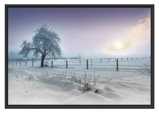 Baum in Winterlandschaft Schattenfugenrahmen 100x70