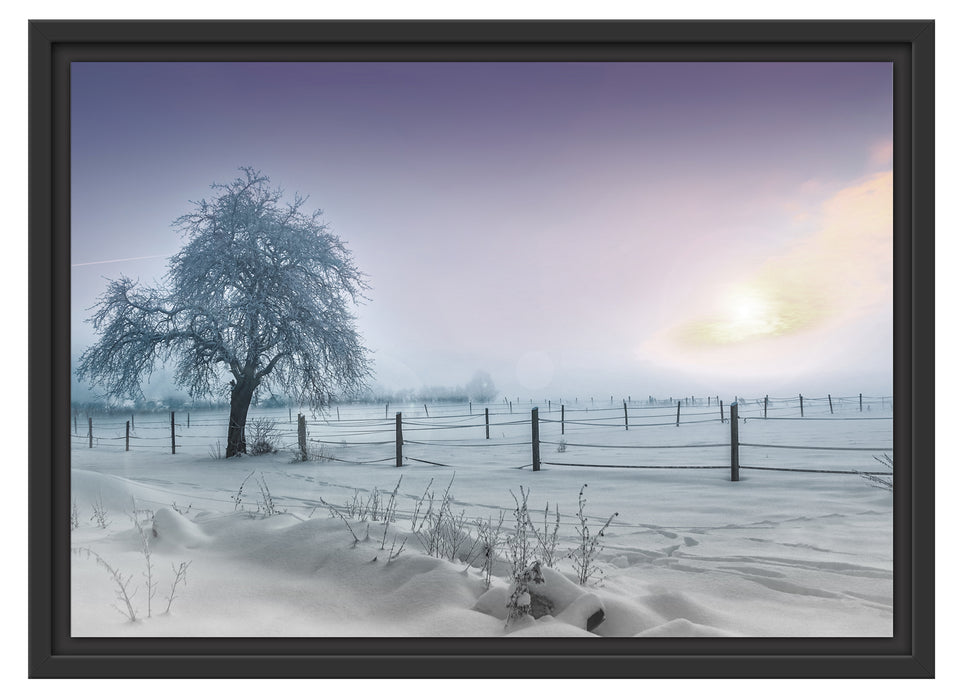 Baum in Winterlandschaft Schattenfugenrahmen 55x40