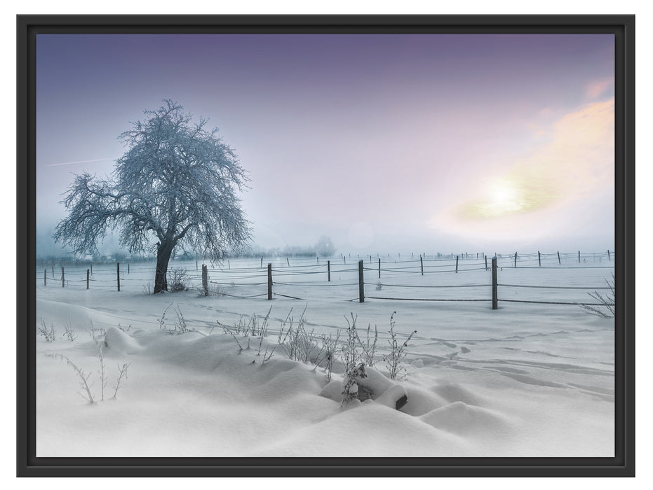 Baum in Winterlandschaft Schattenfugenrahmen 80x60