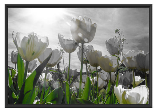 wunderschöne Tulpenwiese Schattenfugenrahmen 100x70
