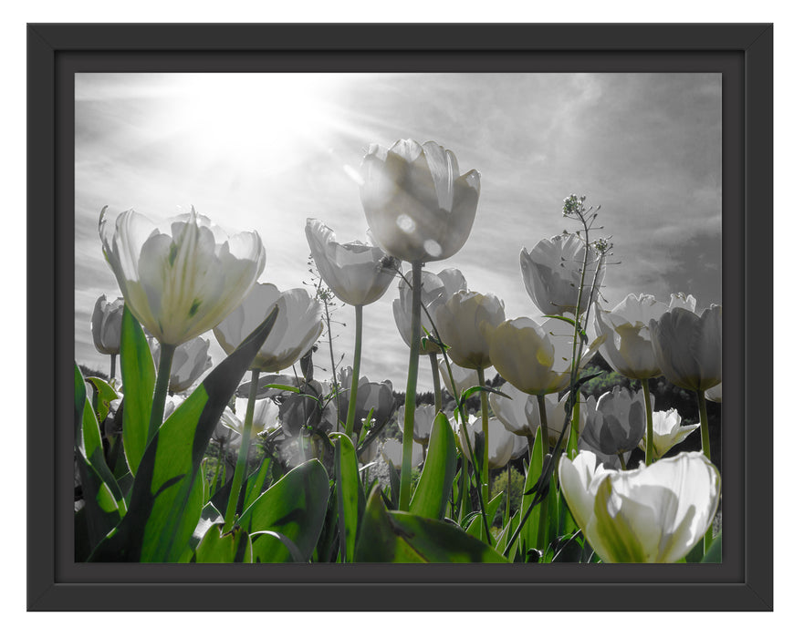 wunderschöne Tulpenwiese Schattenfugenrahmen 38x30