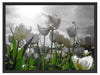 wunderschöne Tulpenwiese Schattenfugenrahmen 80x60