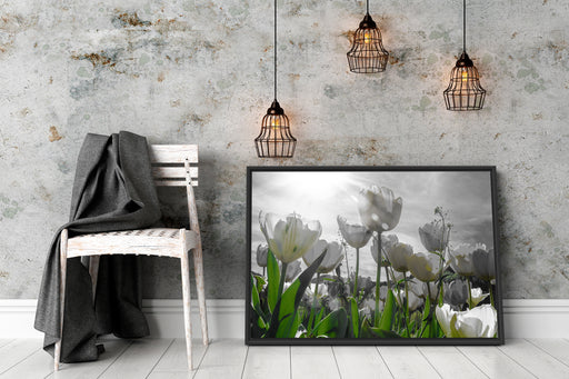 wunderschöne Tulpenwiese Schattenfugenrahmen Wohnzimmer