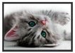 Süßes Katzenbaby Schattenfugenrahmen 100x70