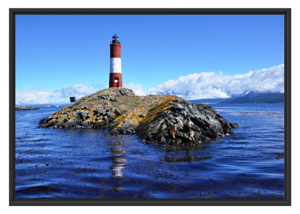 Pixxprint Leuchtturm mit Robben, im Schwebe-Effekt Bilderrahmen