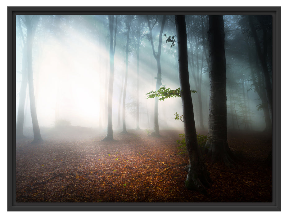 Düsterer Wald im Nebel Schattenfugenrahmen 80x60