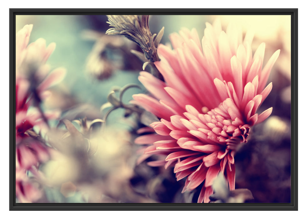 Pixxprint Romantische Blumen, im Schwebe-Effekt Bilderrahmen