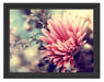 Romantische Blumen Schattenfugenrahmen 38x30