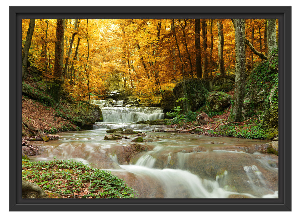 Waldbach im Herbst Schattenfugenrahmen 55x40