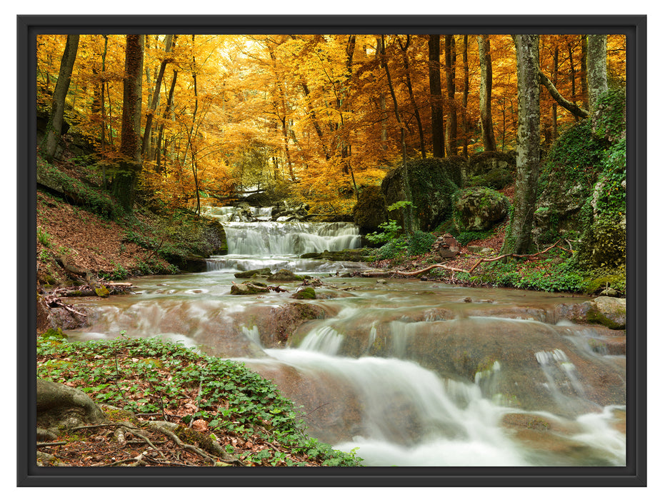 Waldbach im Herbst Schattenfugenrahmen 80x60