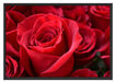 Romantische Rosen Schattenfugenrahmen 100x70
