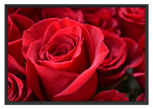 Romantische Rosen Schattenfugenrahmen 100x70