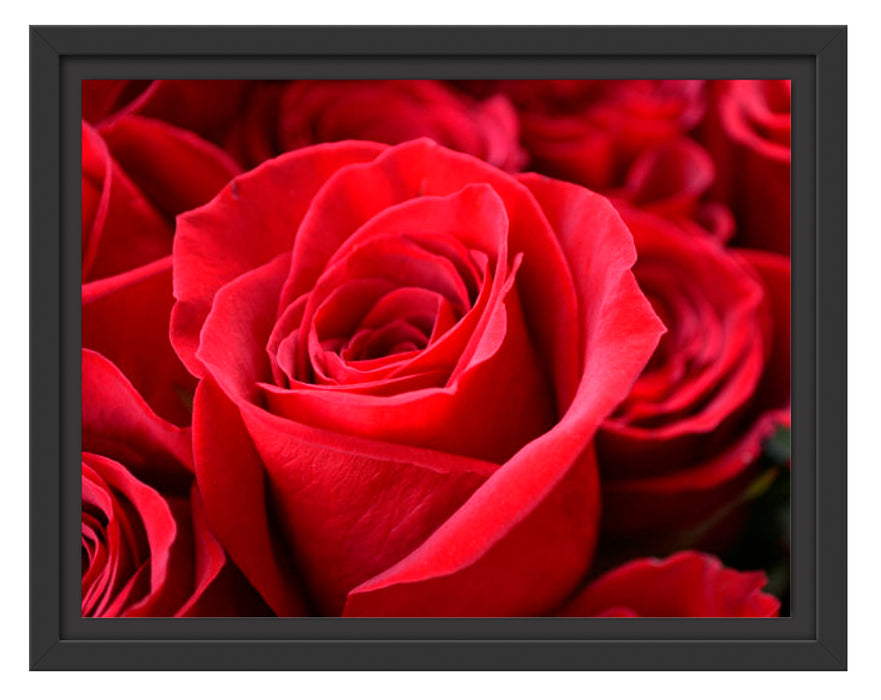 Romantische Rosen Schattenfugenrahmen 38x30