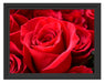 Romantische Rosen Schattenfugenrahmen 38x30