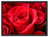 Romantische Rosen Schattenfugenrahmen 80x60