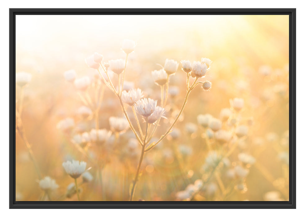 Pixxprint Romantische Blumenwiese, im Schwebe-Effekt Bilderrahmen