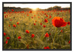 Mohnfeld bei Sonnenaufgang Schattenfugenrahmen 100x70