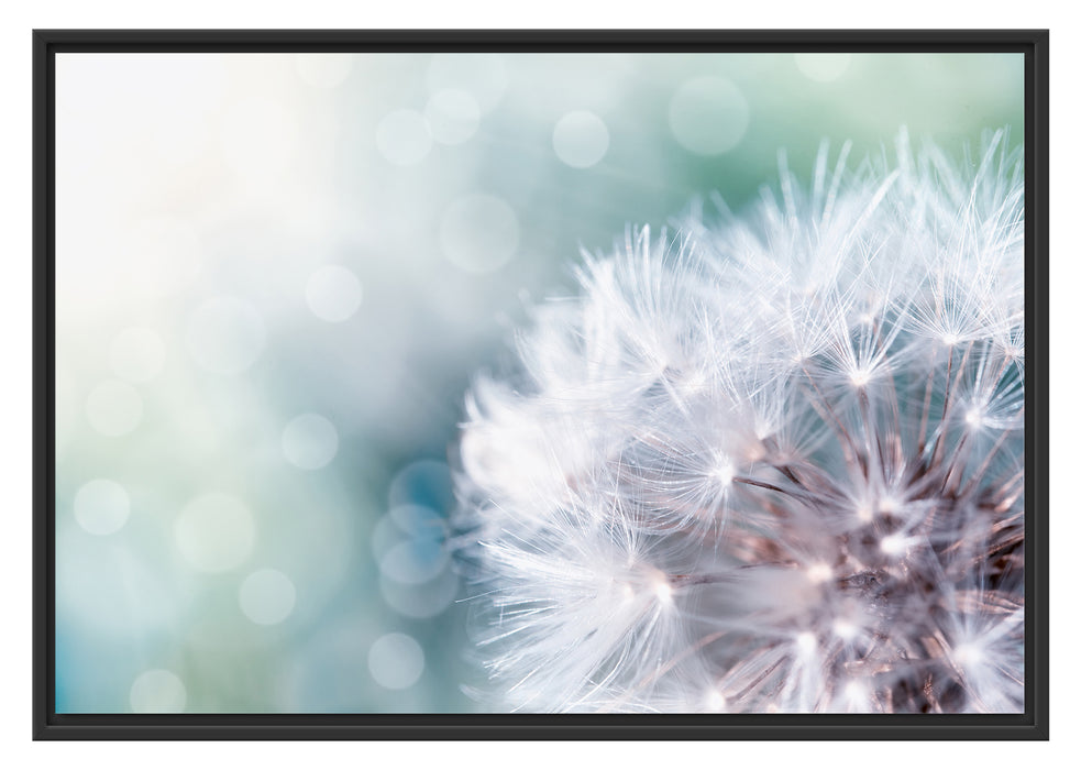 Pixxprint Kleine Pusteblume, im Schwebe-Effekt Bilderrahmen