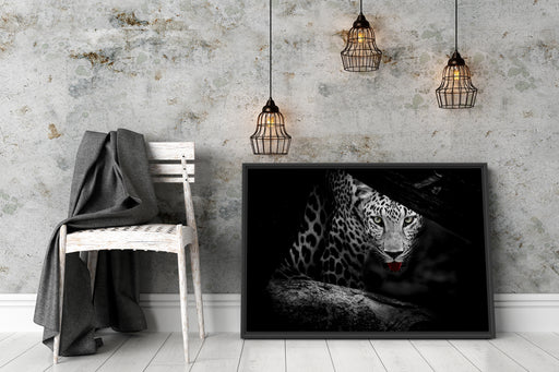 Neugieriger Gepard Schattenfugenrahmen Wohnzimmer