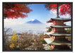Japanischer Tempel im Herbst Schattenfugenrahmen 100x70