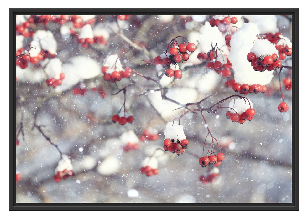 Pixxprint Vogelbeeren mit Schnee bedeckt, im Schwebe-Effekt Bilderrahmen