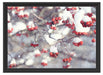 Vogelbeeren mit Schnee bedeckt Schattenfugenrahmen 55x40