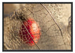 Rote Physalis Schattenfugenrahmen 100x70