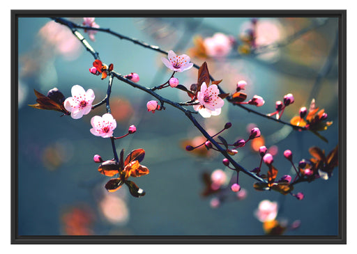 Sakura Blüten Schattenfugenrahmen 100x70