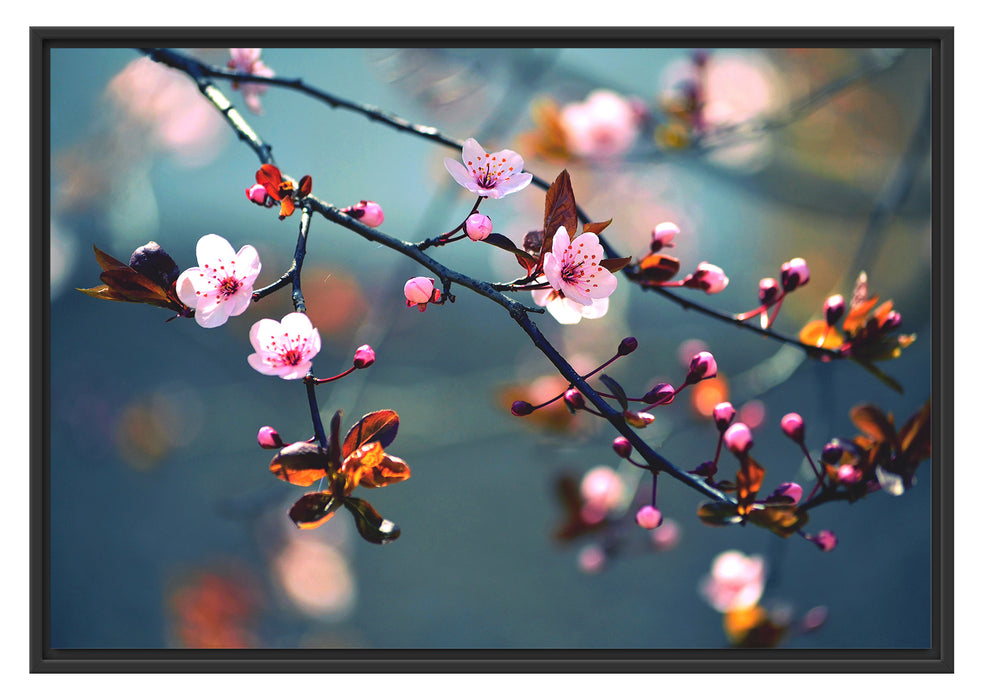 Pixxprint Sakura Blüten, im Schwebe-Effekt Bilderrahmen