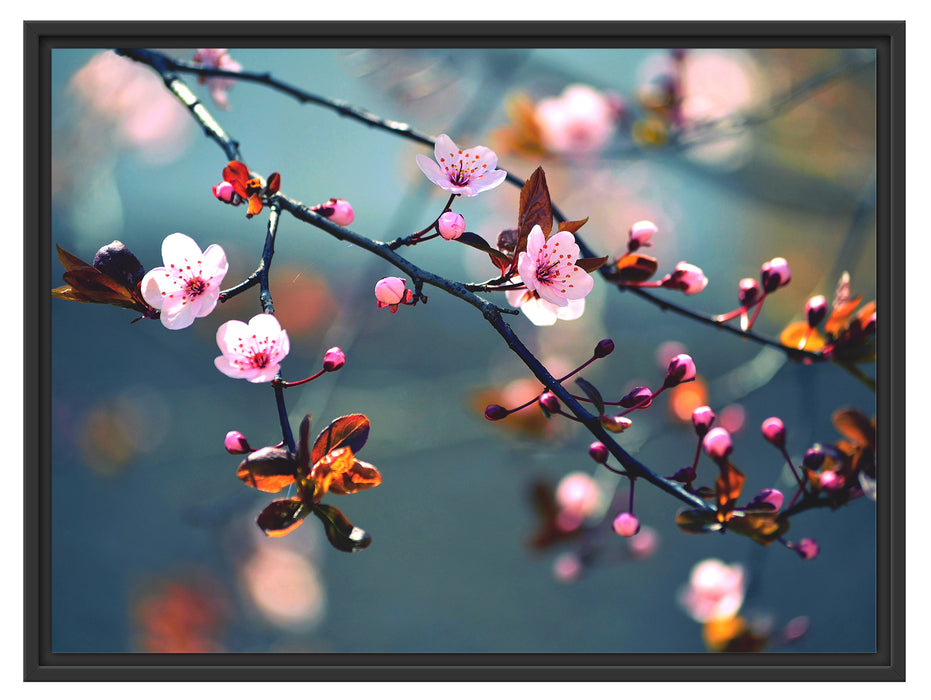 Sakura Blüten Schattenfugenrahmen 80x60