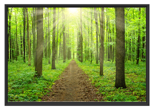 Sonne im Wald Schattenfugenrahmen 100x70