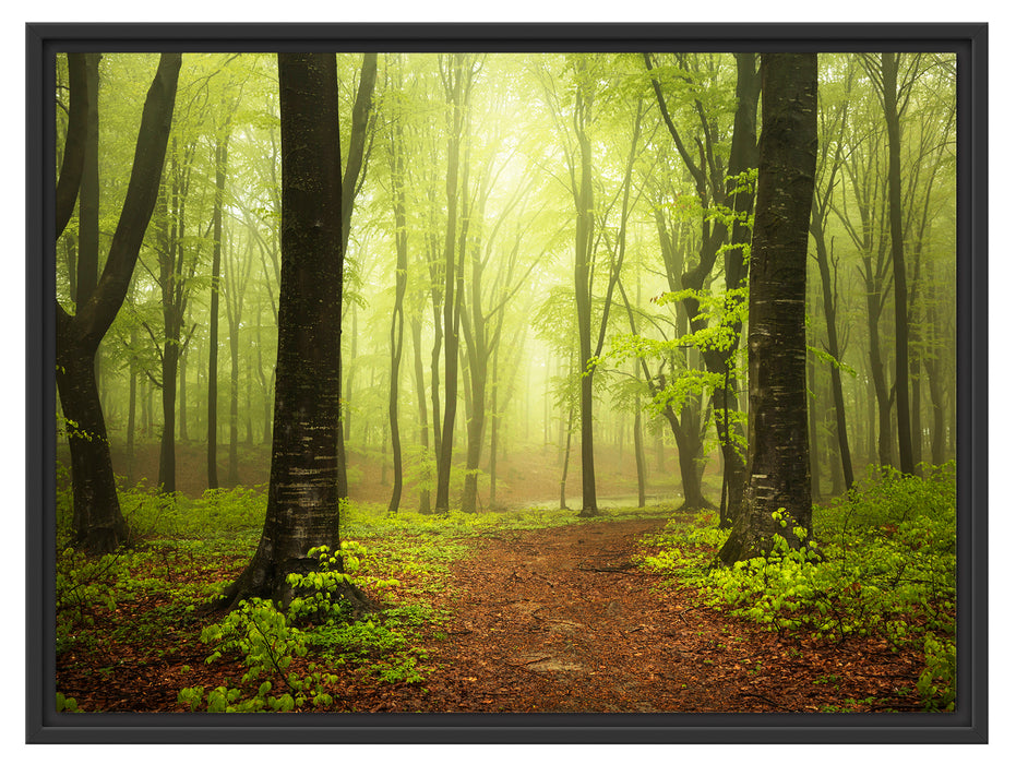 Weg in den Wald Schattenfugenrahmen 80x60