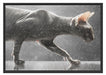 Einzigartige Sphynx Katze Schattenfugenrahmen 100x70