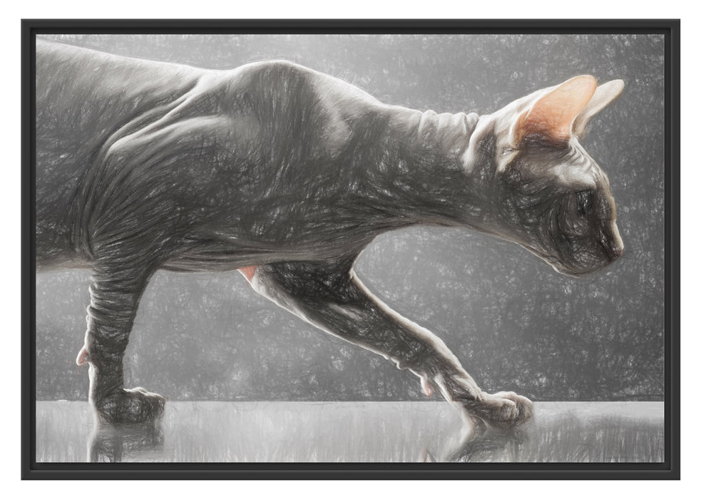 Pixxprint Einzigartige Sphynx Katze, im Schwebe-Effekt Bilderrahmen
