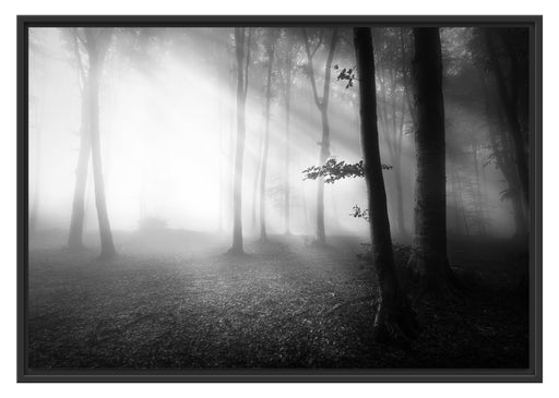Düsterer Wald im Nebel Schattenfugenrahmen 100x70