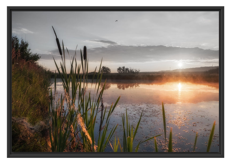 Pixxprint Sonniger Morgen am See, im Schwebe-Effekt Bilderrahmen