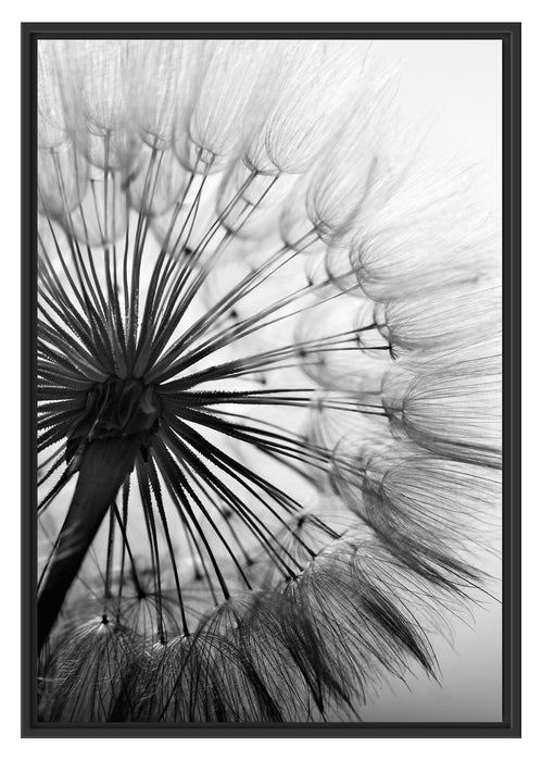 Pixxprint Zarte Pusteblume, im Schwebe-Effekt Bilderrahmen