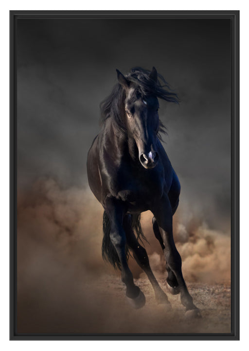 Elegantes schwarzes Pferd Schattenfugenrahmen 100x70