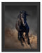 Elegantes schwarzes Pferd Schattenfugenrahmen 38x30