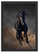 Elegantes schwarzes Pferd Schattenfugenrahmen 55x40