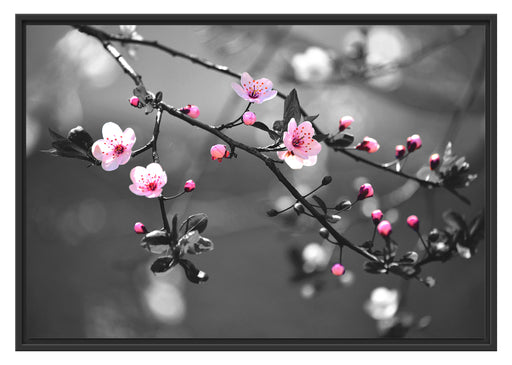 Exotische Sakura Blüten Schattenfugenrahmen 100x70
