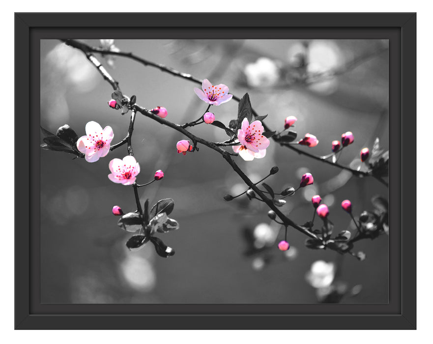 Exotische Sakura Blüten Schattenfugenrahmen 38x30