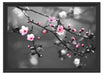 Exotische Sakura Blüten Schattenfugenrahmen 55x40