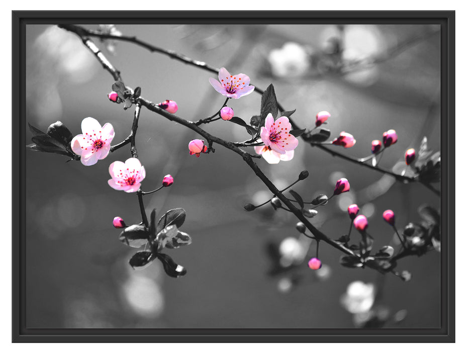 Exotische Sakura Blüten Schattenfugenrahmen 80x60