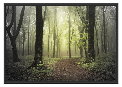 Weg im Wald Schattenfugenrahmen 100x70